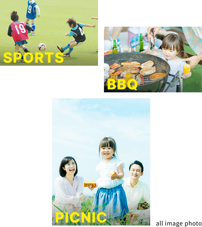 all image photo