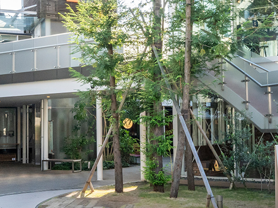 トレインチ自由が丘 （約1,160m／徒歩15分）