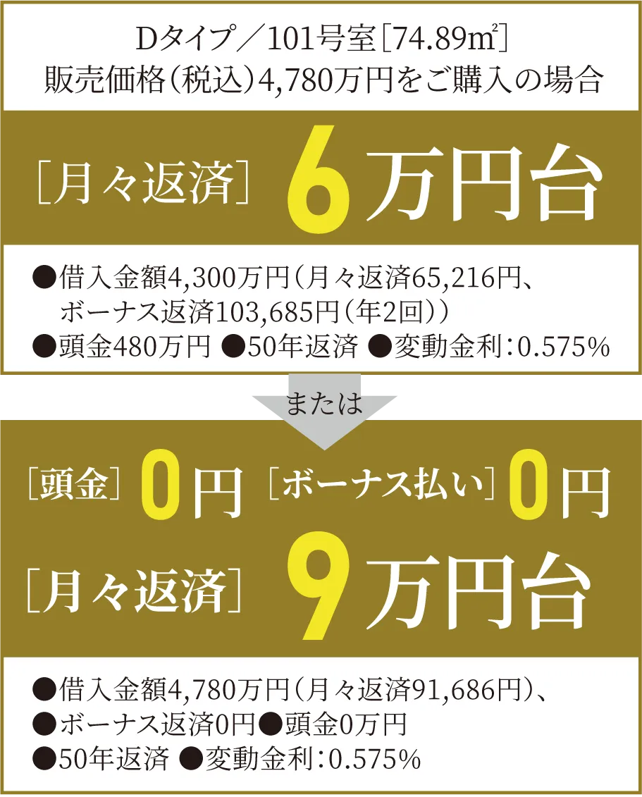 Dタイプ 101