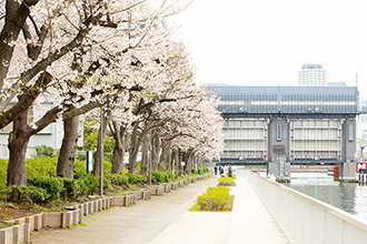 小名木川（約440m/徒歩6分）