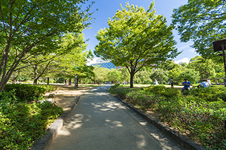 浜町公園（約810m・徒歩11分）