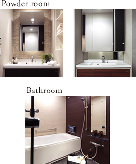 Powder room / Bathroom