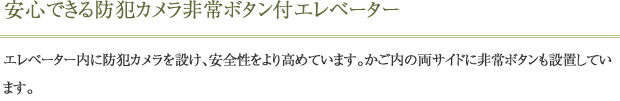 安心できる防犯カメラ非常ボタン付エレベーター