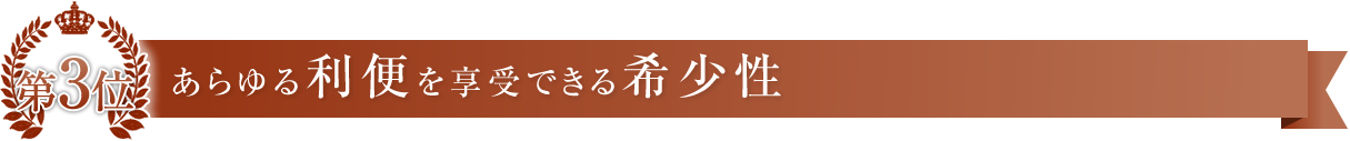 あらゆる利便を享受できる希少性