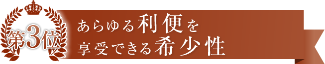 あらゆる利便を享受できる希少性