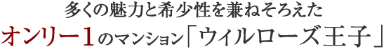 多くの魅力と希少性を兼ねそろえたオンリー１のマンション「ウィルローズ王子」