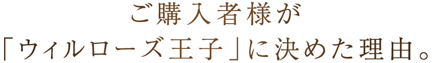 ご購入者様が「ウィルローズ王子」に決めた理由