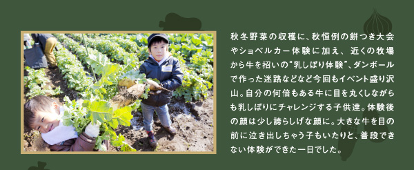秋冬野菜の収穫に、秋恒例の餅つき大会やショベルカー体験に加え、近くの牧場から牛を招いの
