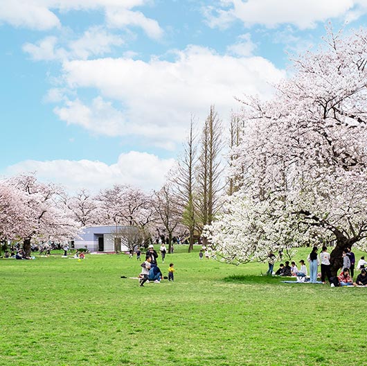 都立篠崎公園