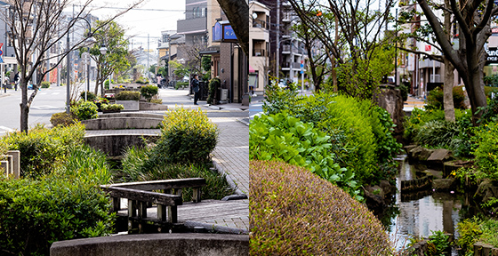 本郷用水親水緑道