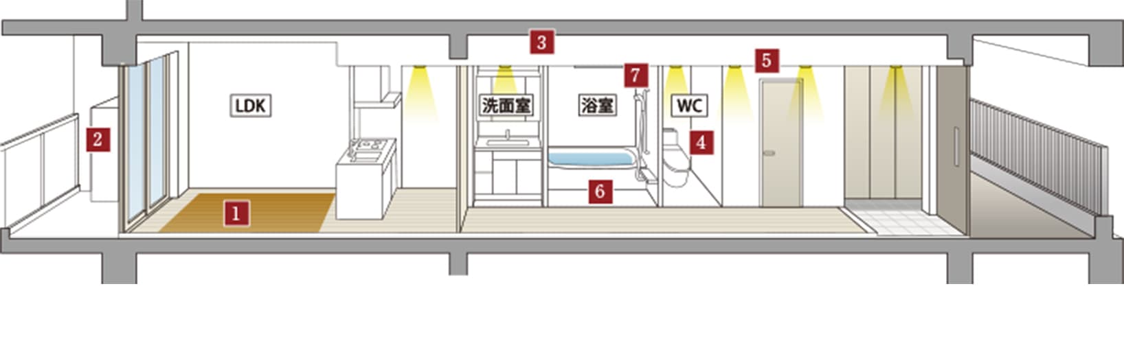 断面イメージイラスト